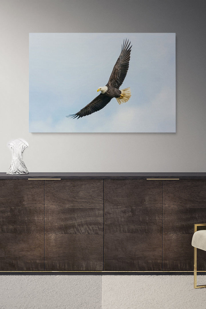 Flying Eagle