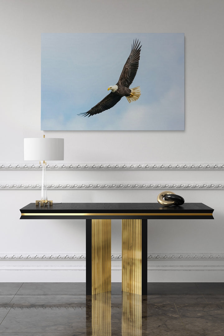 Flying Eagle