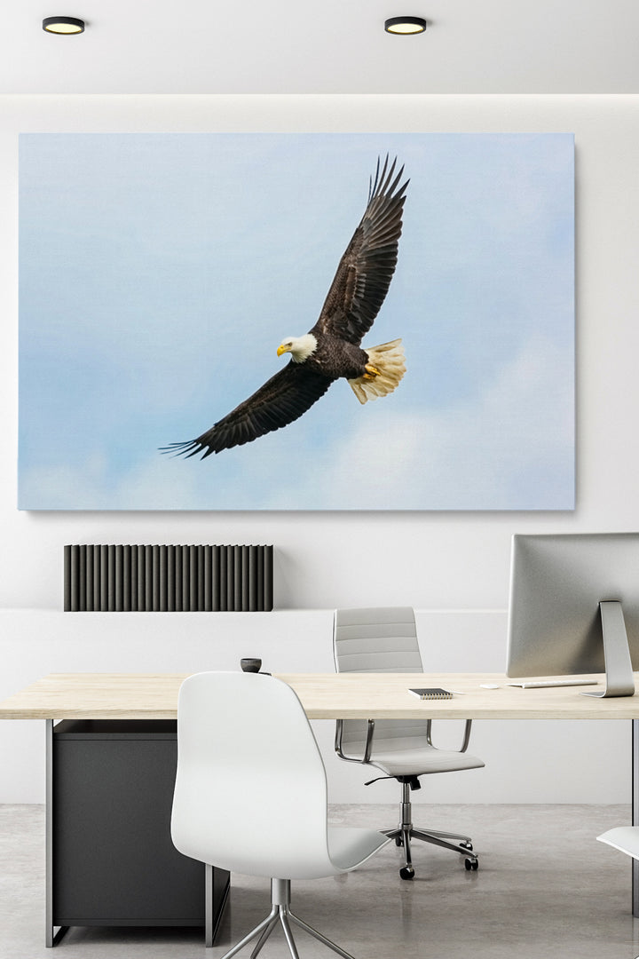 Flying Eagle