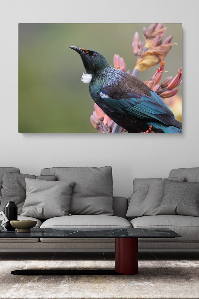 Golden Nose Bird