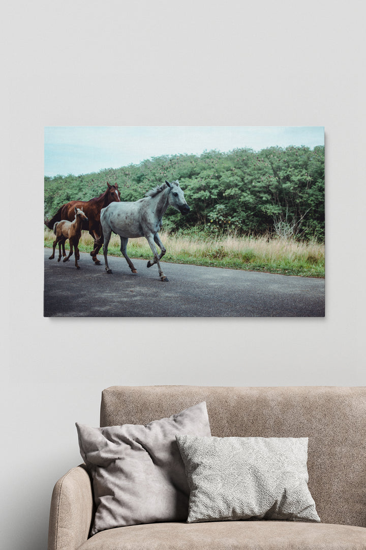 Horse Family