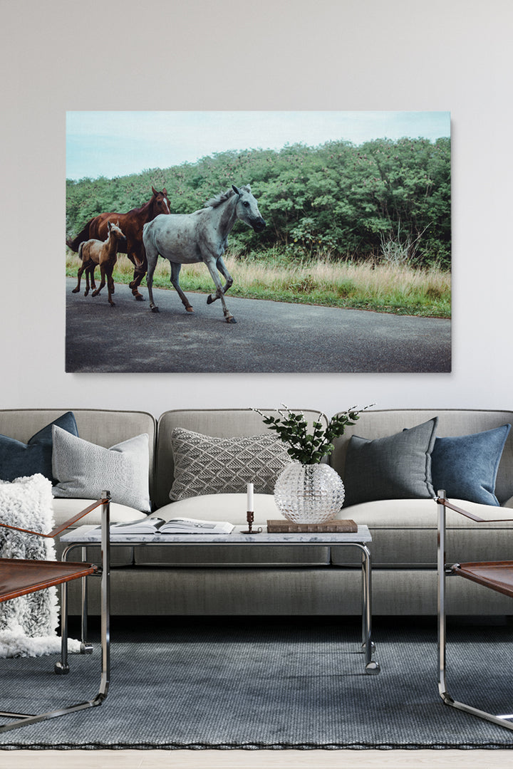 Horse Family