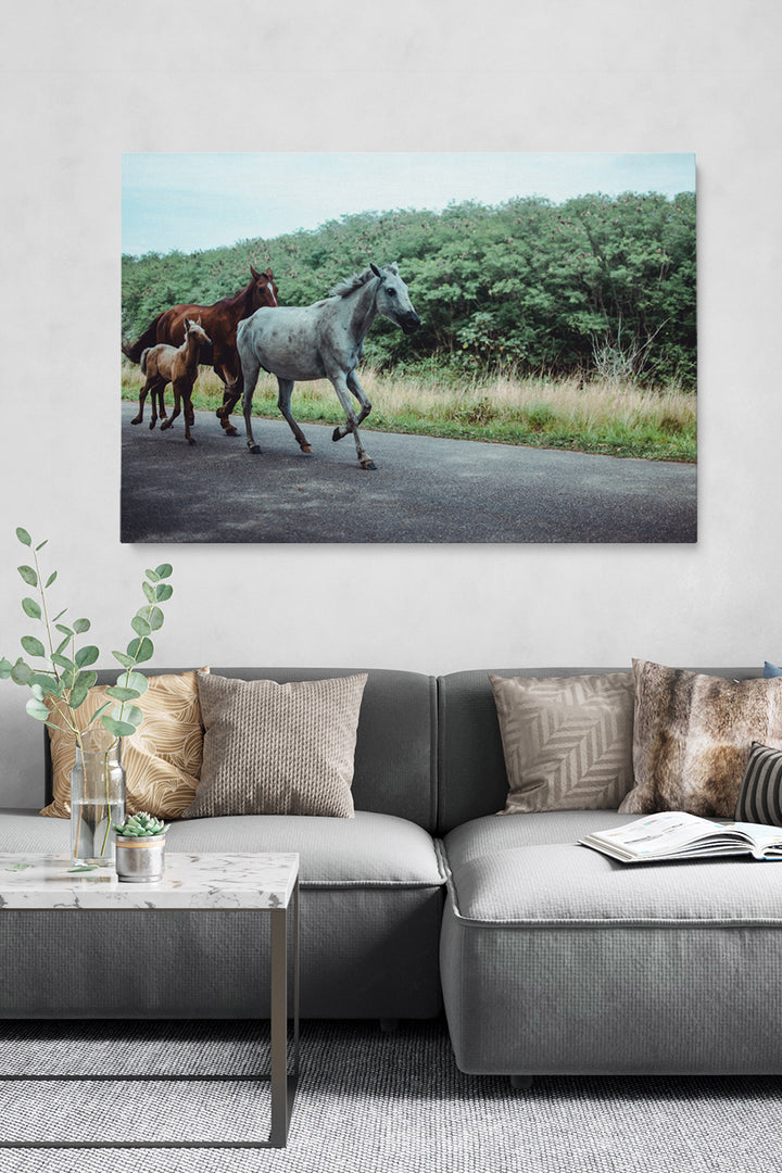 Horse Family