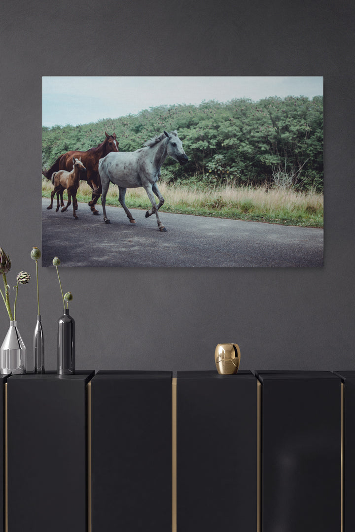 Horse Family