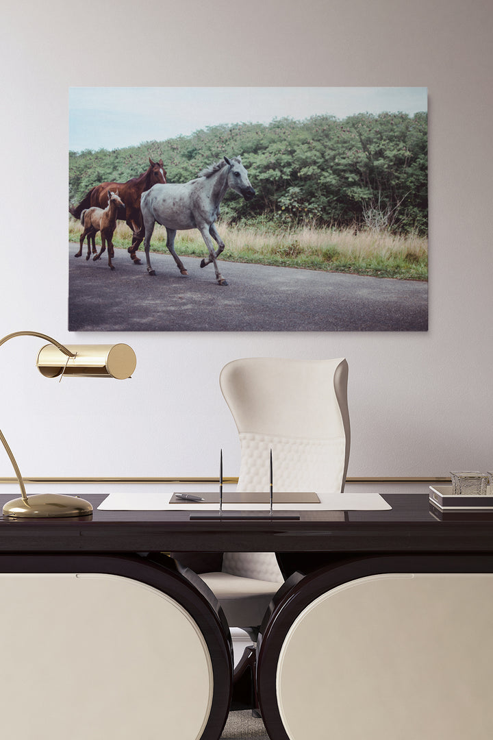 Horse Family