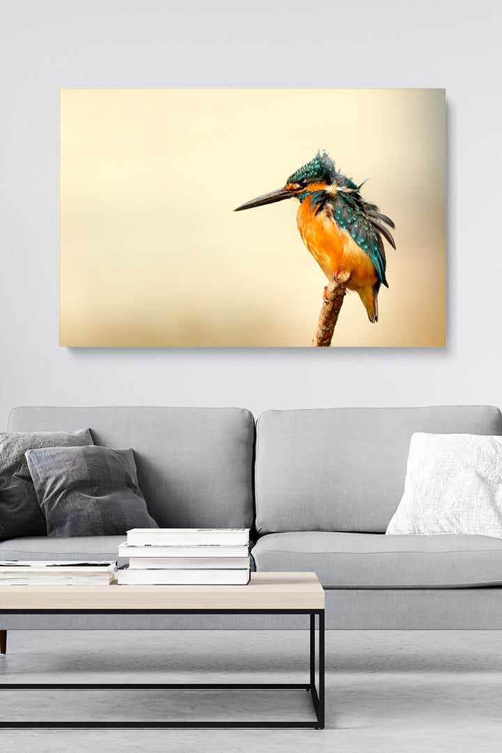 Kingfisher