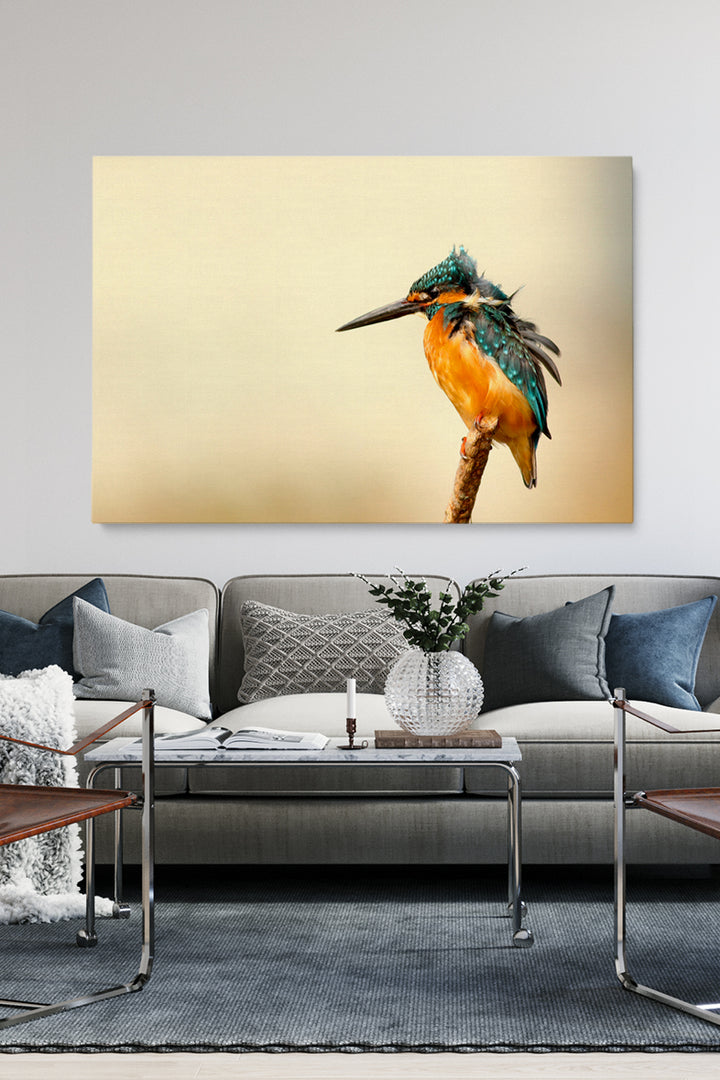 Kingfisher