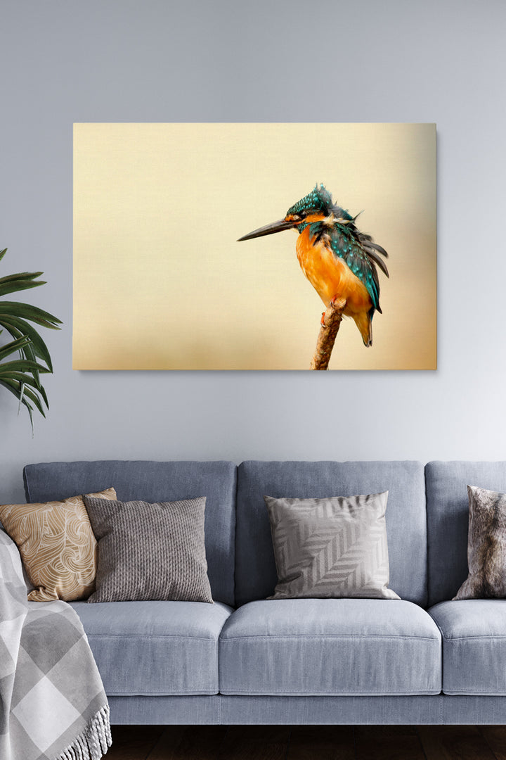 Kingfisher