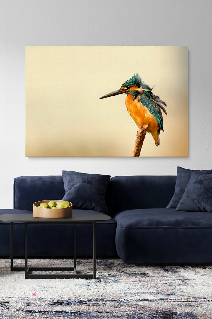 Kingfisher