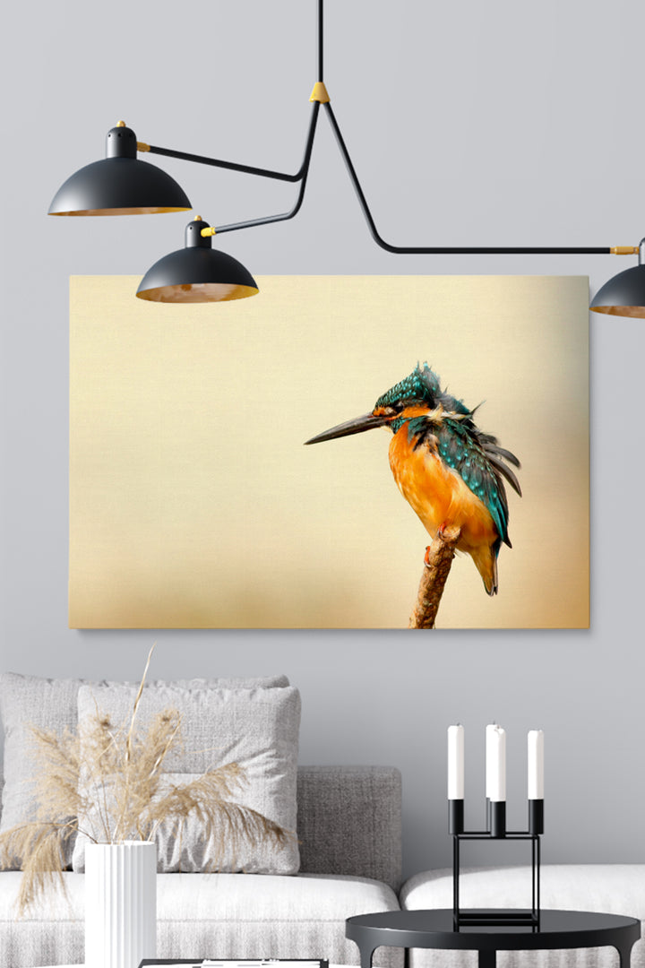 Kingfisher