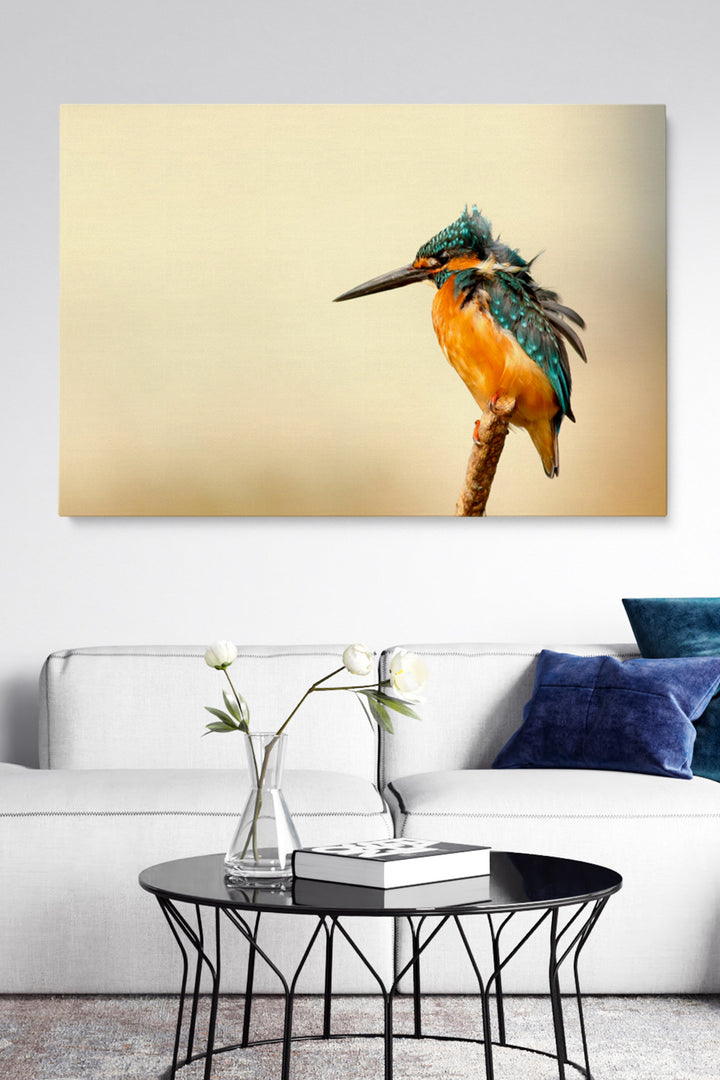 Kingfisher
