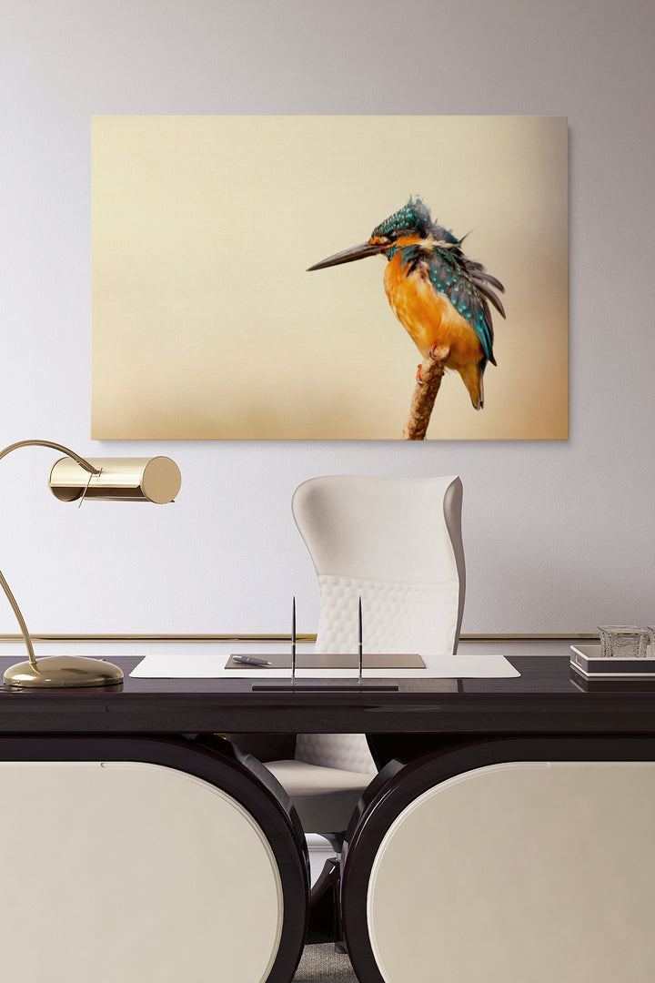 Kingfisher