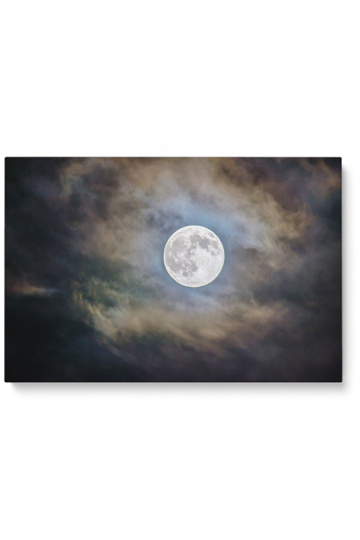 Moon Hide And Seek