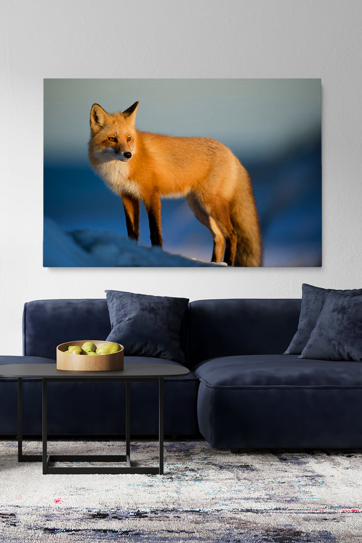 Nordic Fox