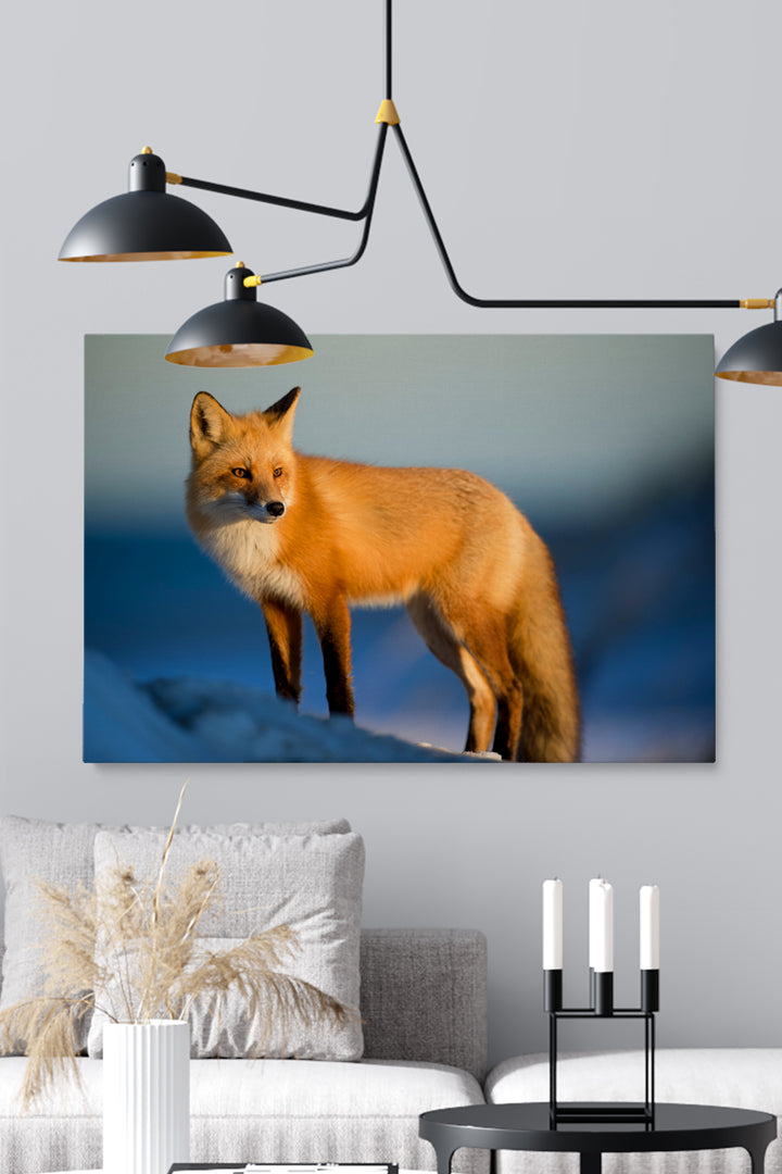 Nordic Fox