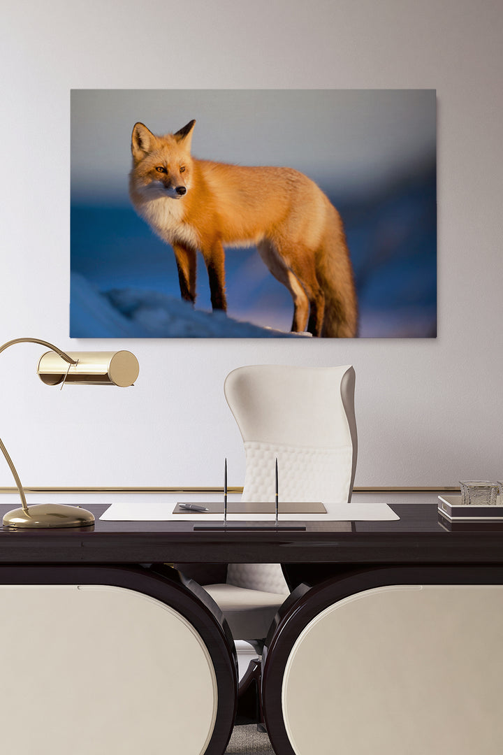 Nordic Fox