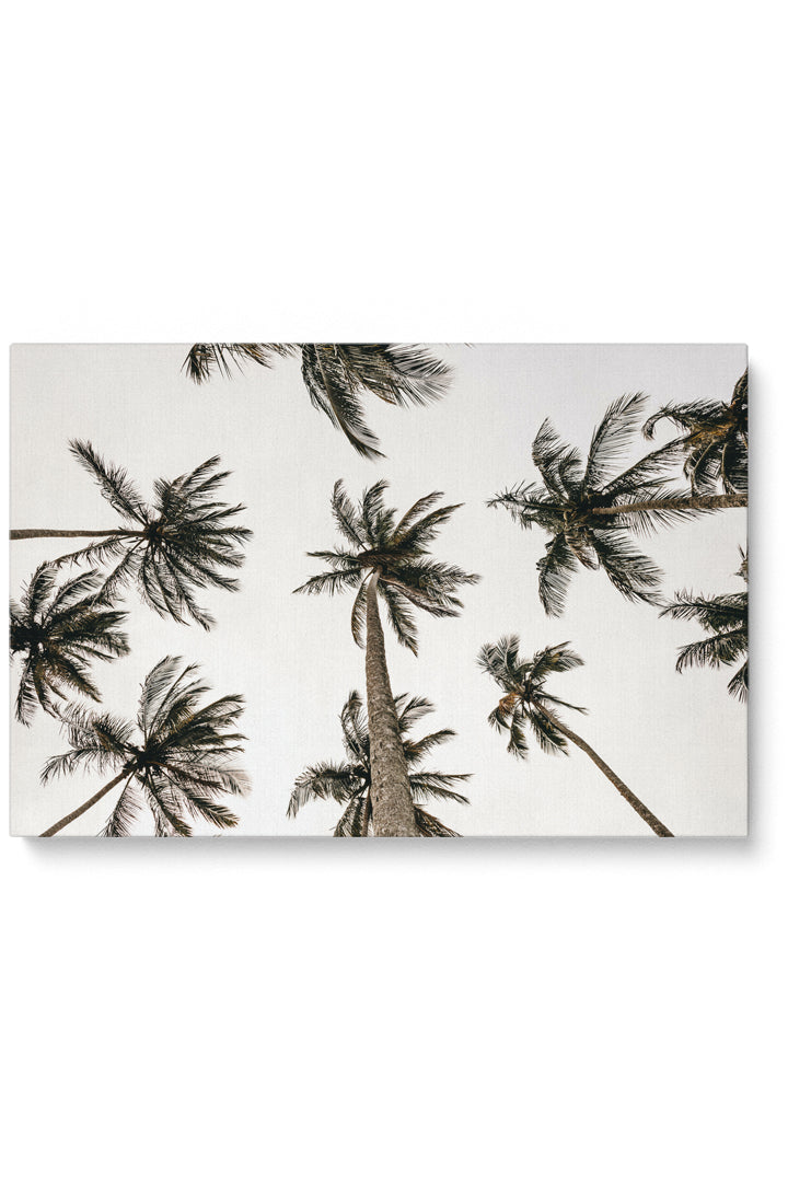 Palmenstimmung