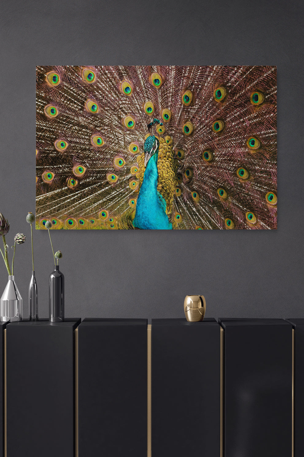 Peacock Feathers