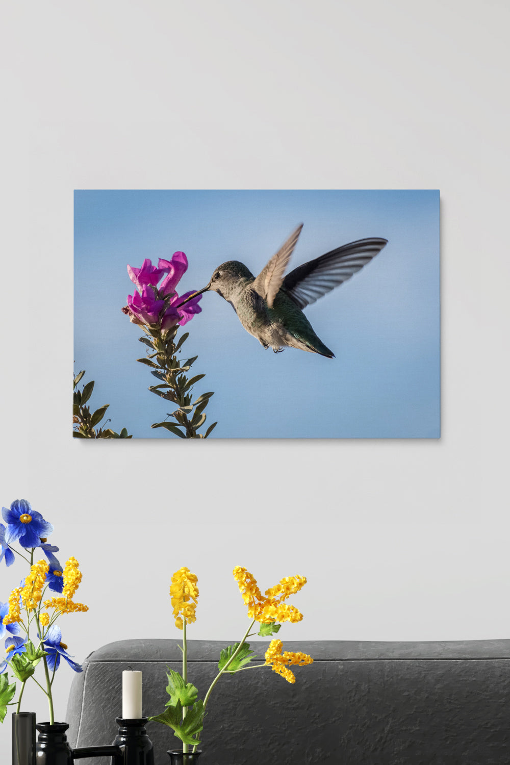Pink Flower Colibri