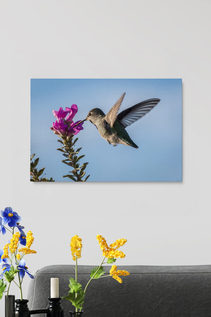 Pink Flower Colibri