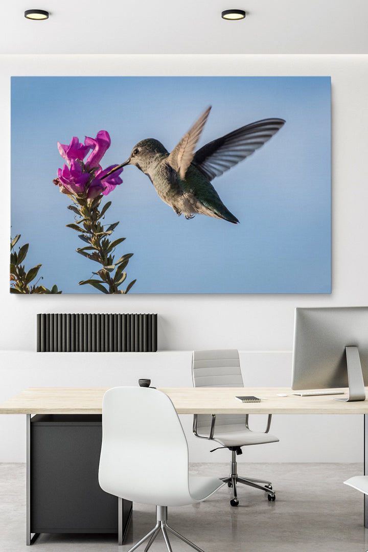 Pink Flower Colibri