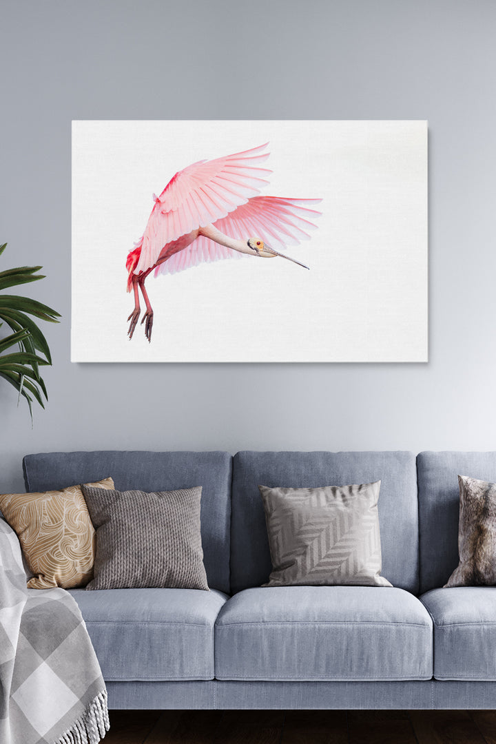 Pink Roseate Spoonbill