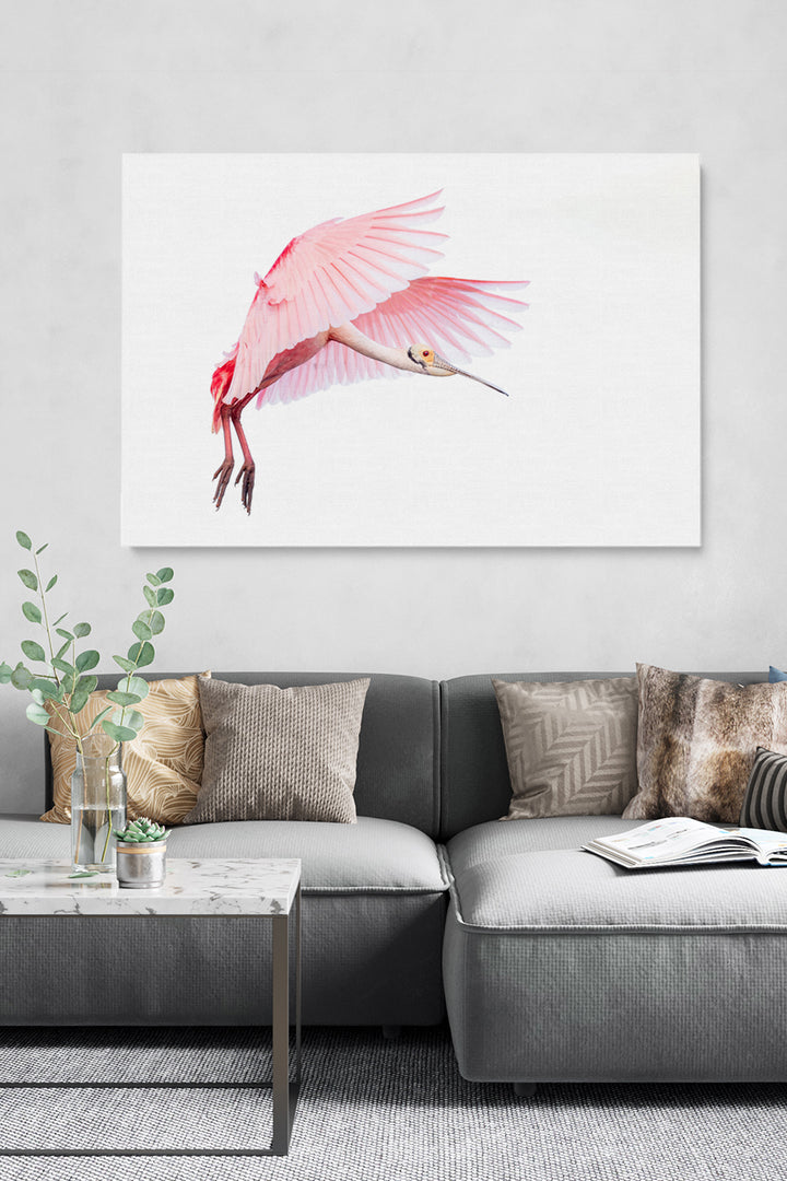 Pink Roseate Spoonbill