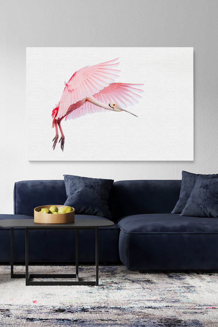 Pink Roseate Spoonbill