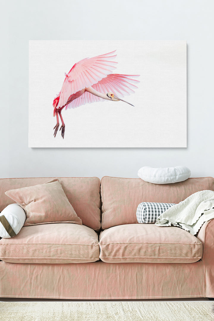 Pink Roseate Spoonbill