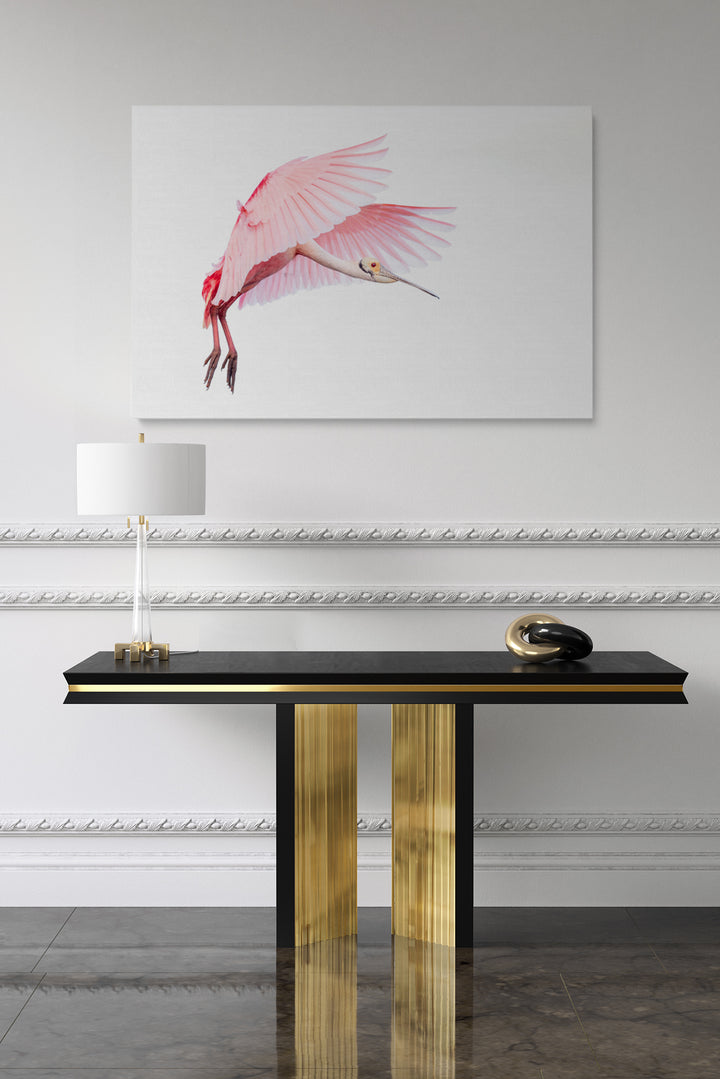 Pink Roseate Spoonbill