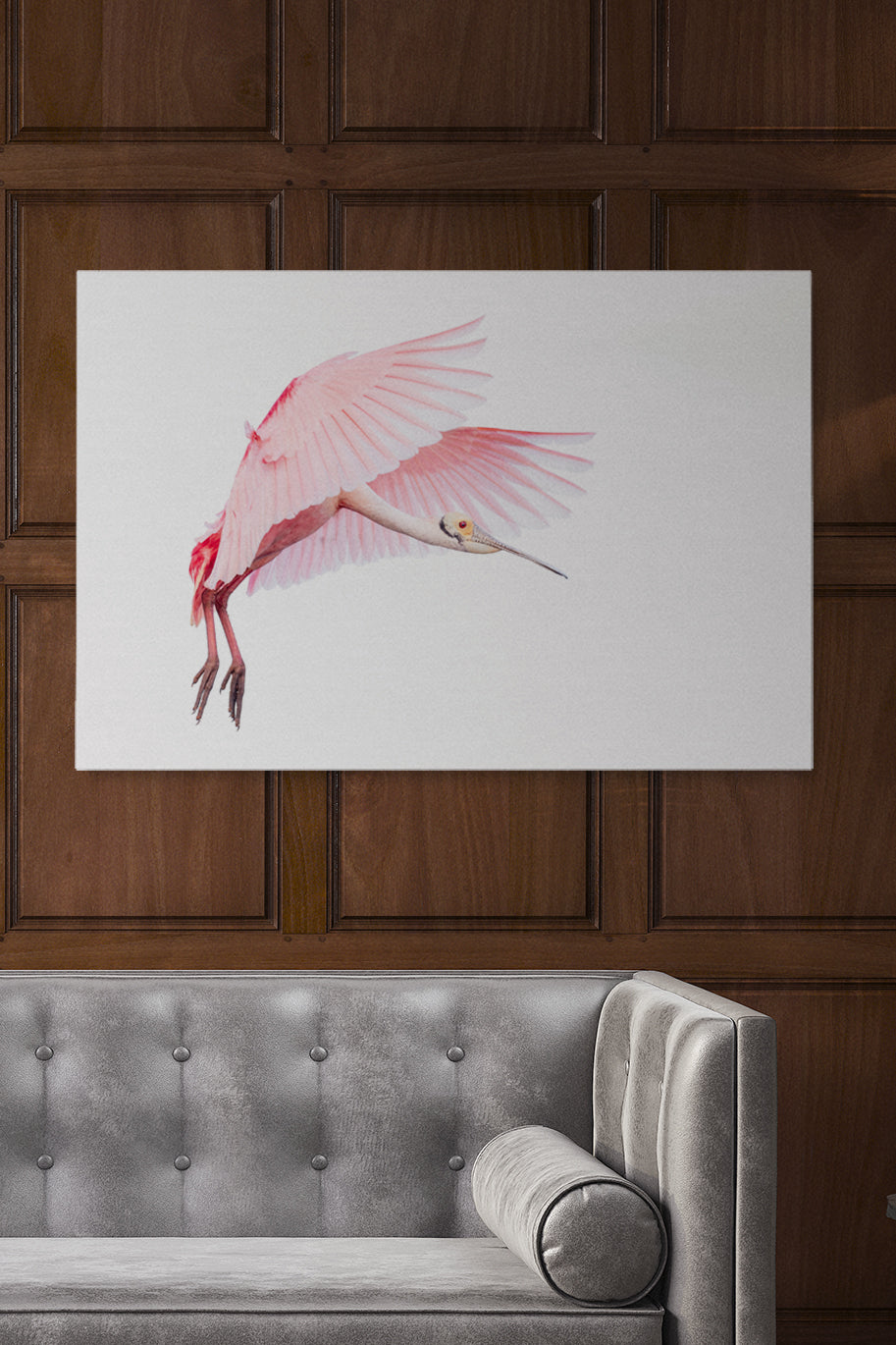 Pink Roseate Spoonbill