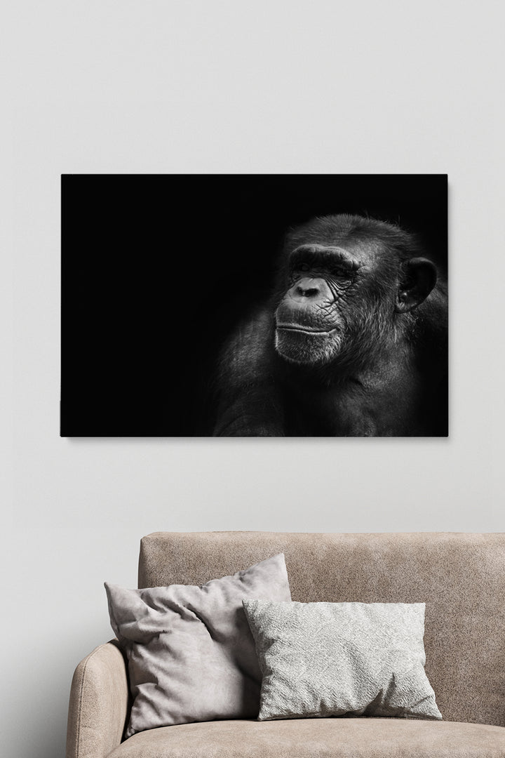 Portrait Chimp