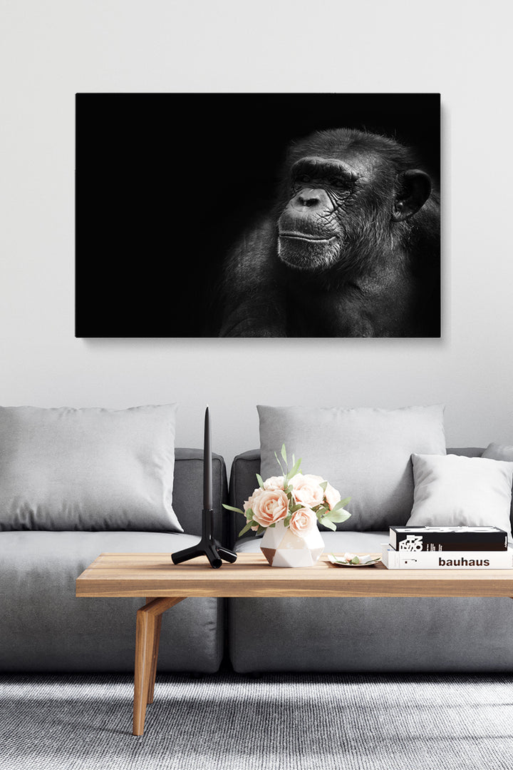 Portrait Chimp