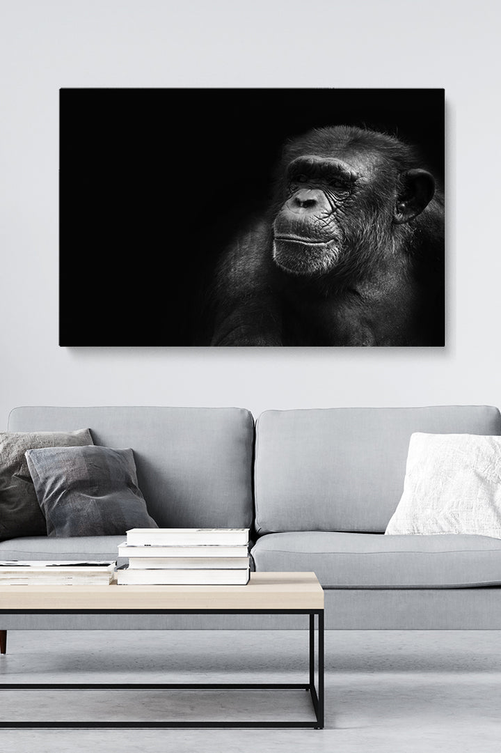 Portrait Chimp