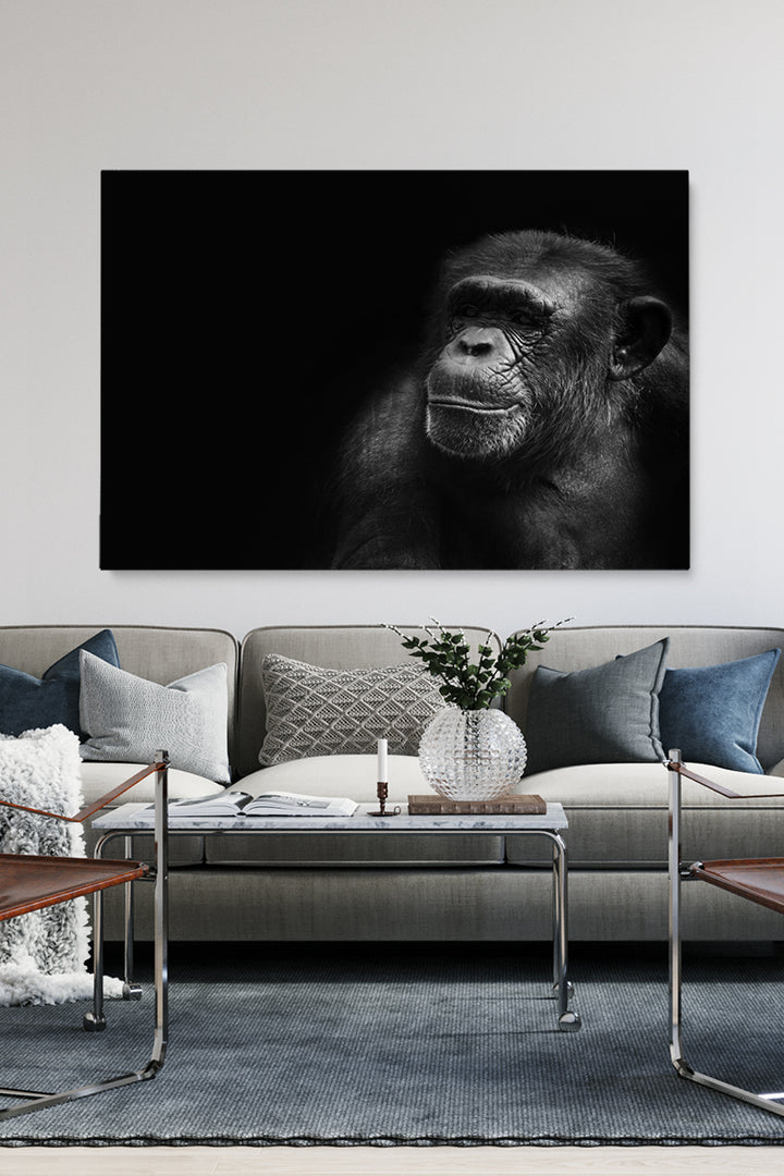 Portrait Chimp