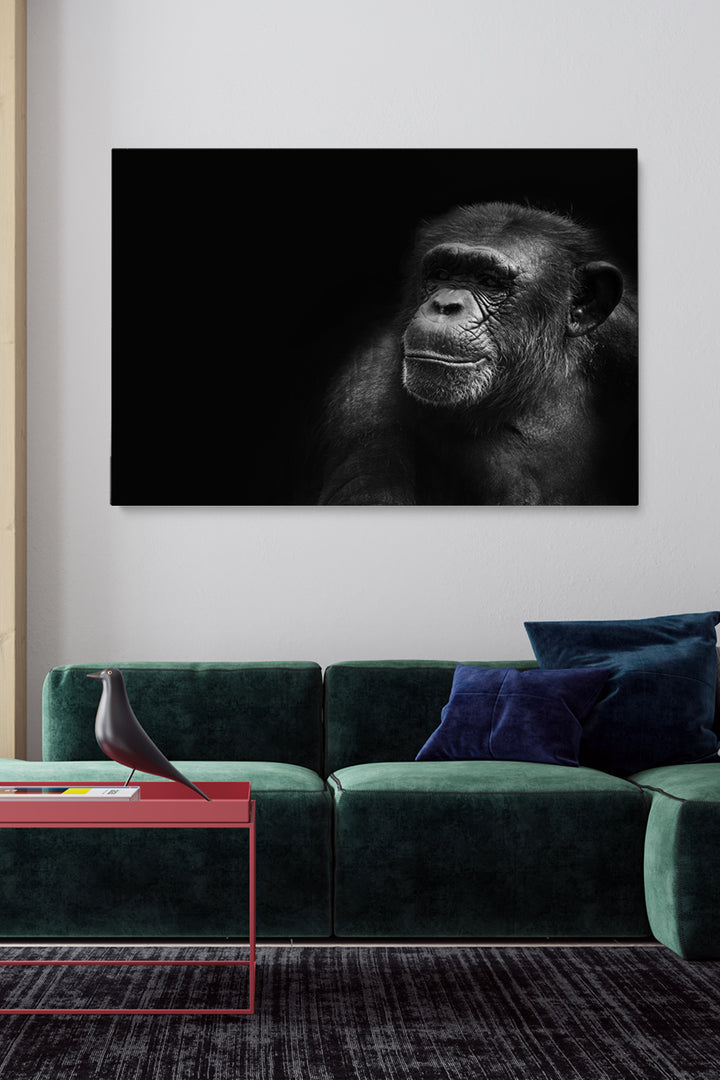 Portrait Chimp