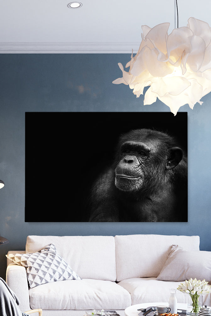 Portrait Chimp
