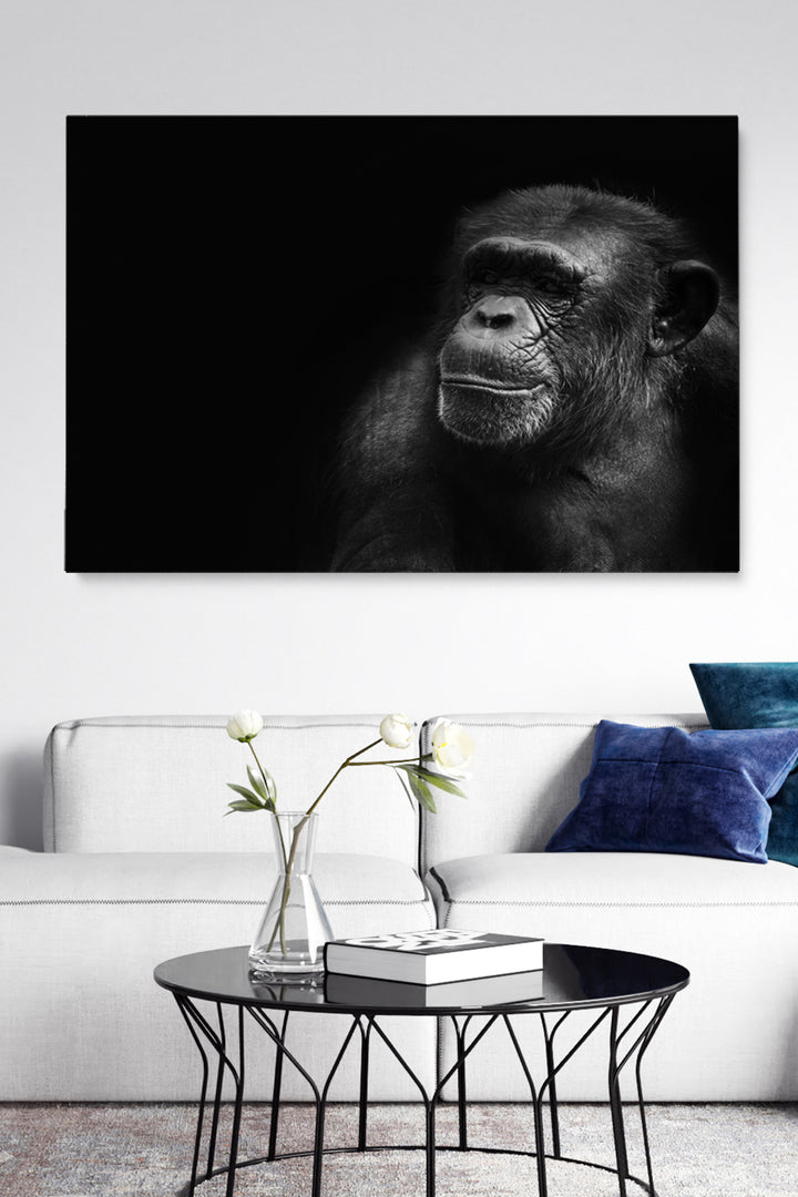 Portrait Chimp