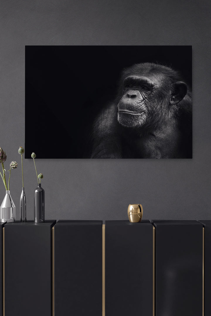 Portrait Chimp