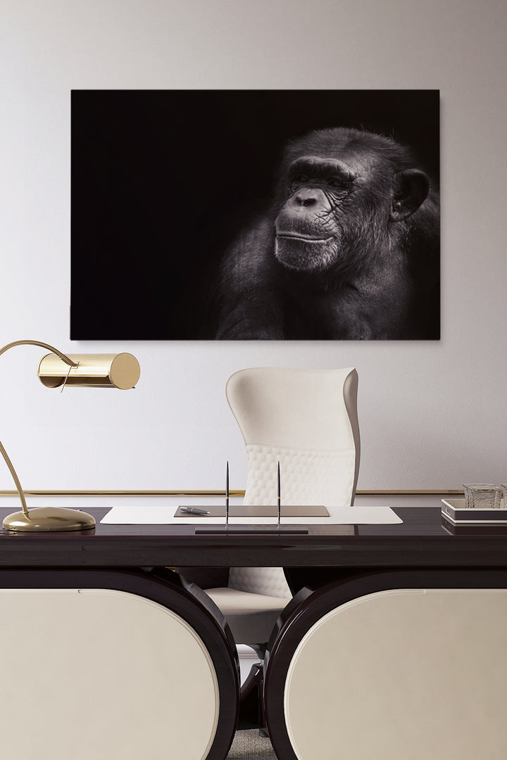 Portrait Chimp