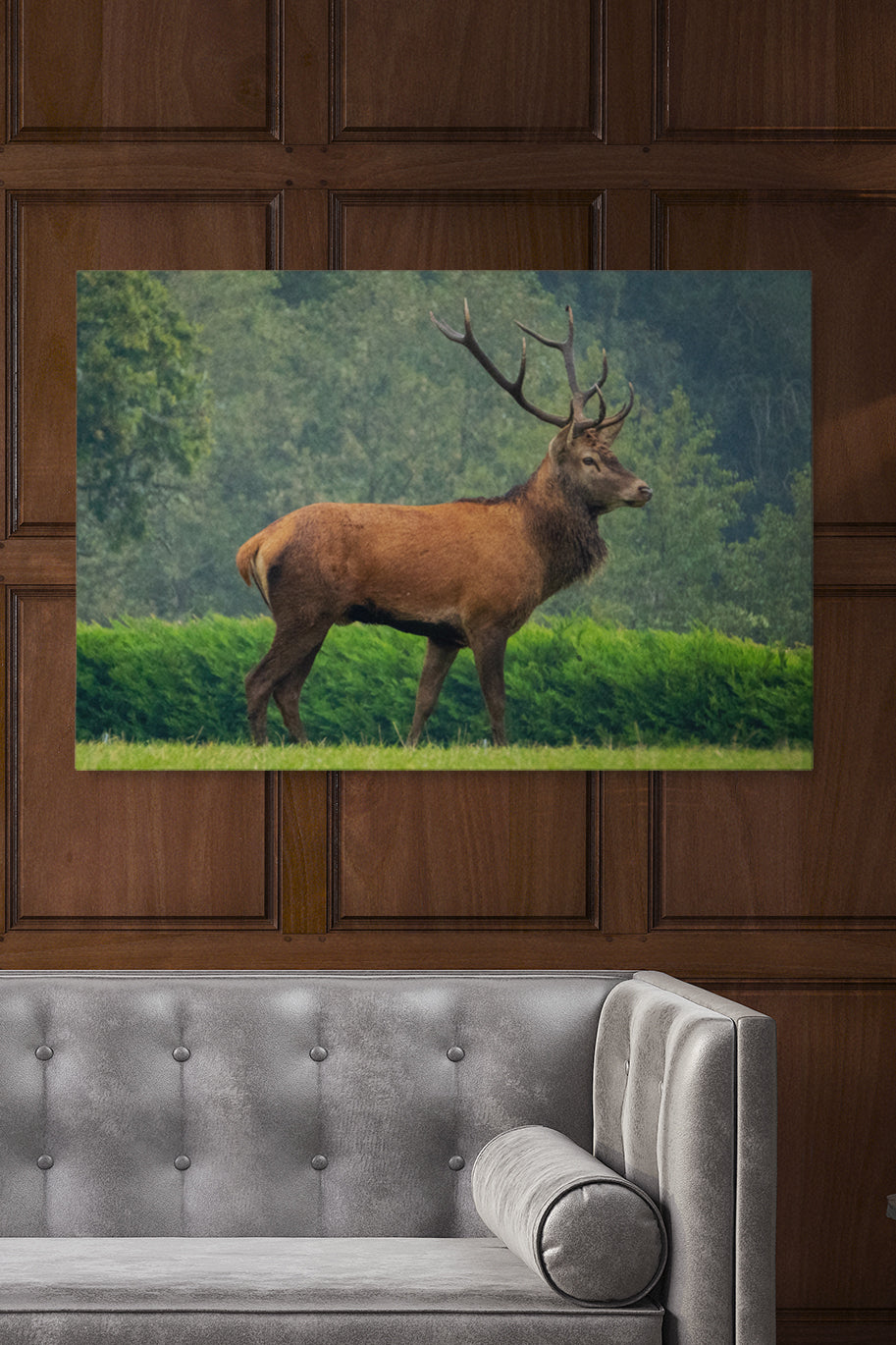 Precious Deer