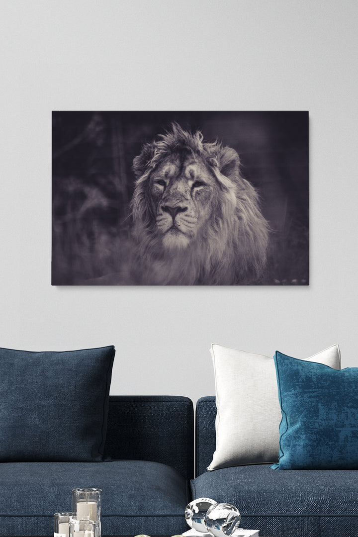 Smokey Lion