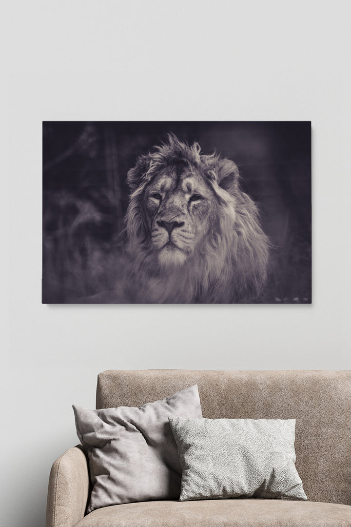 Smokey Lion