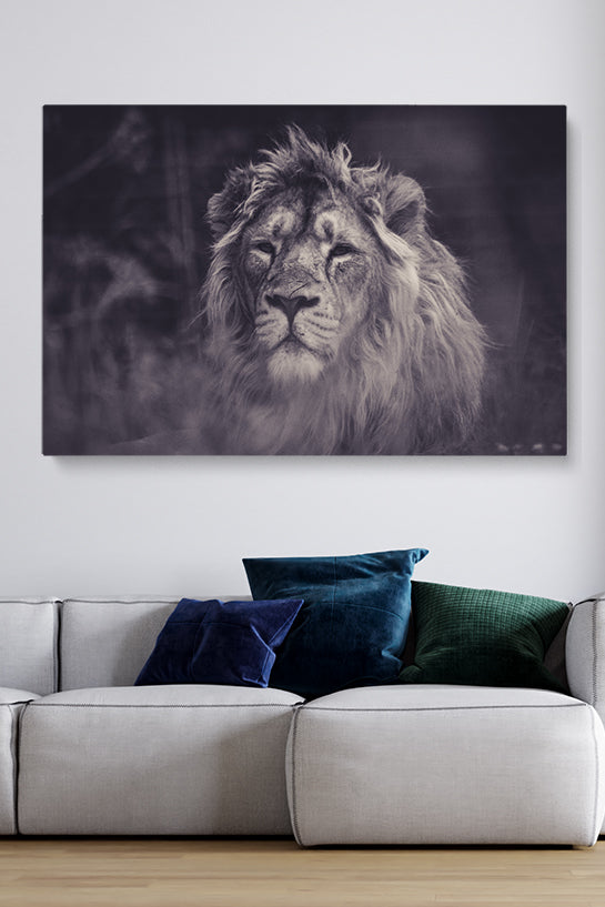 Smokey Lion