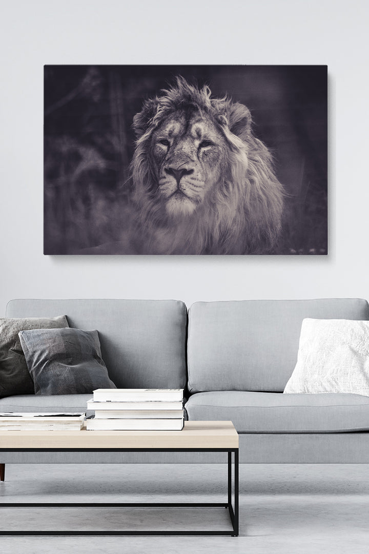 Smokey Lion