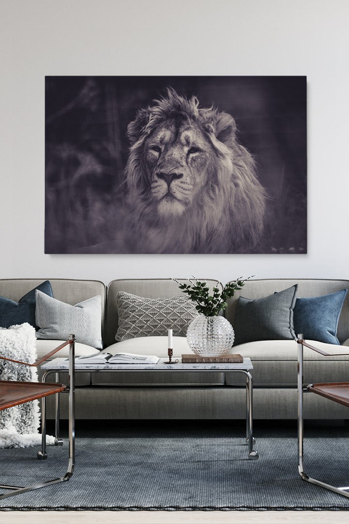Smokey Lion