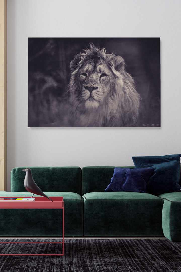 Smokey Lion