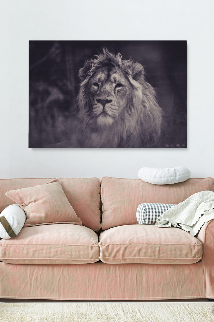 Smokey Lion