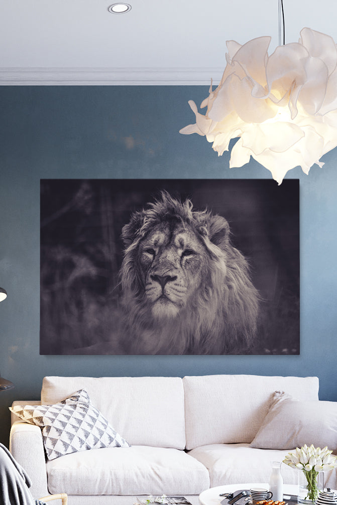 Smokey Lion