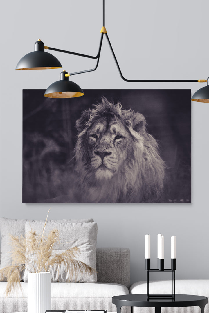 Smokey Lion